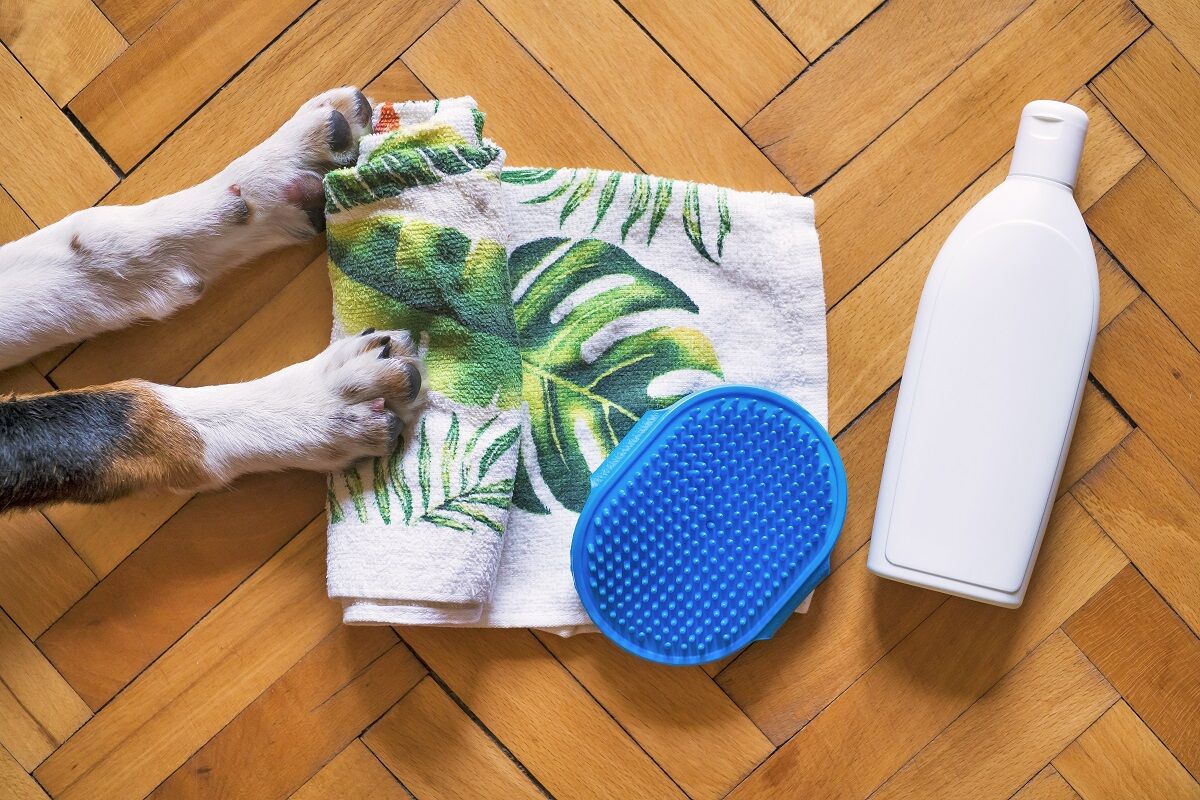 towel, dog brush, and dog shampoo