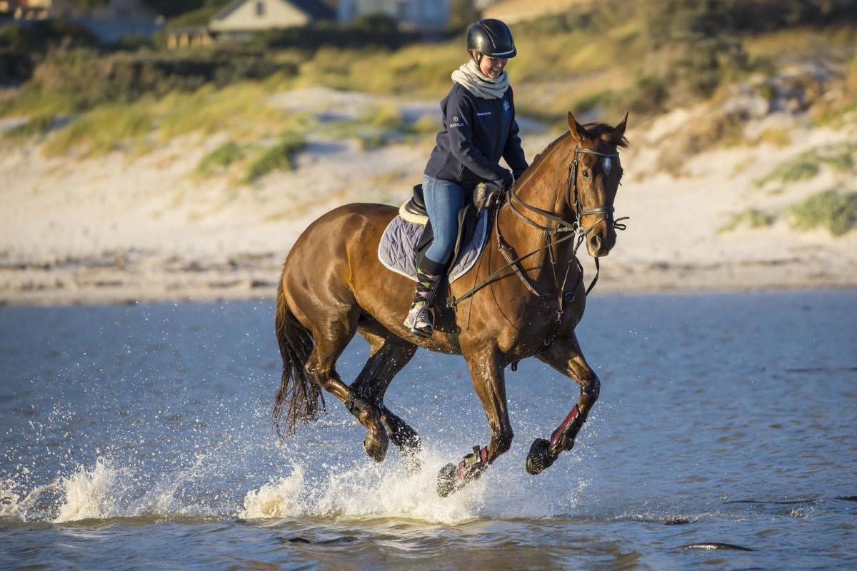 Person riding horse through shallow water on California coast.