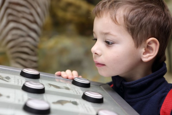 A young child looks at buttons in a museum exhibit.