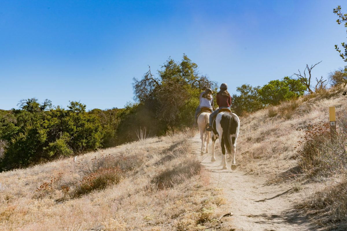 Horseback riding on trail